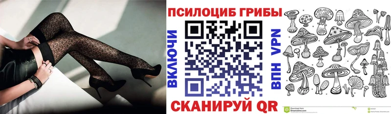 Псилоцибиновые грибы Cubensis  наркотики  Бакал 
